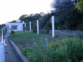 f0201157_1142567.jpg