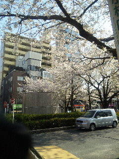 f0202257_11261486.jpg