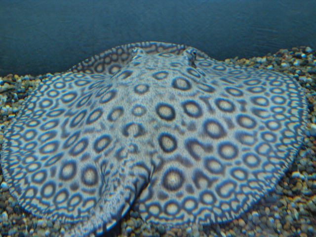 f0009758_16513096.jpg