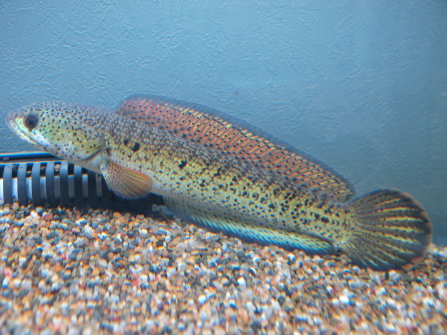 f0009758_16532921.jpg
