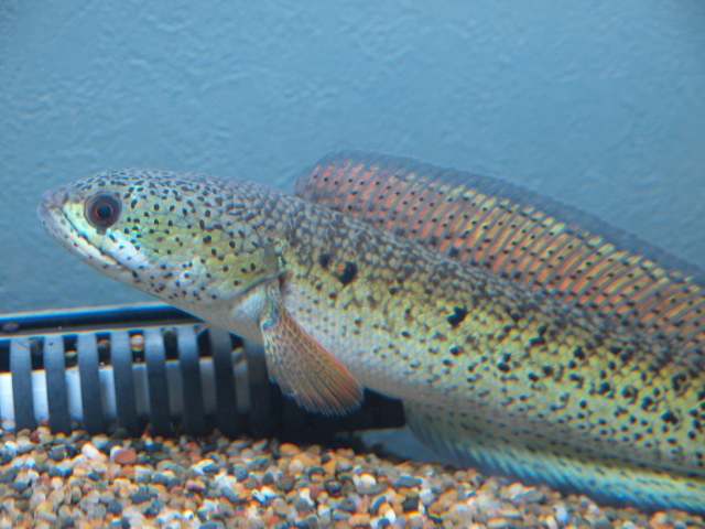 f0009758_16534418.jpg