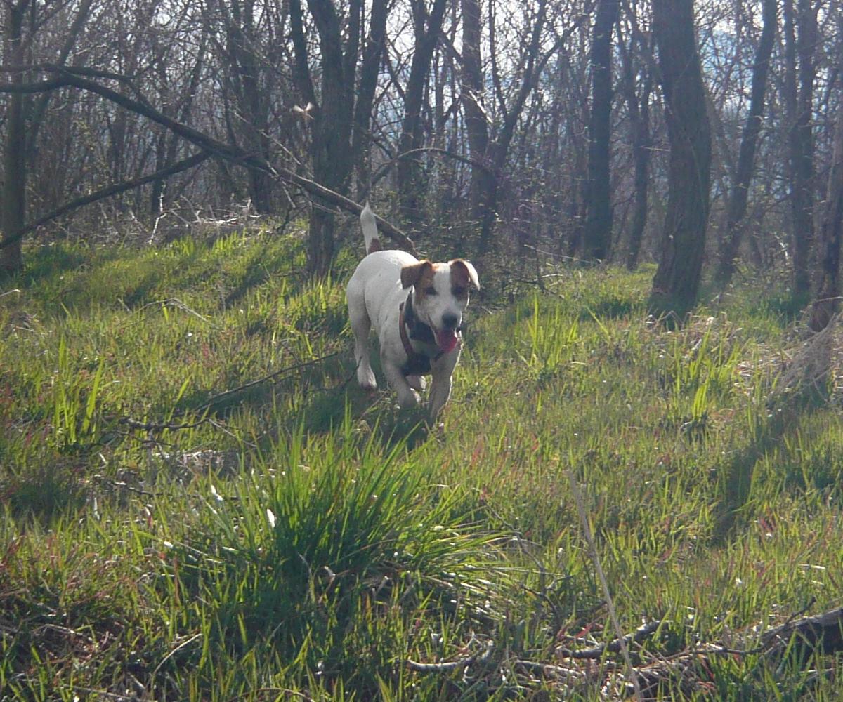c0140260_22262341.jpg