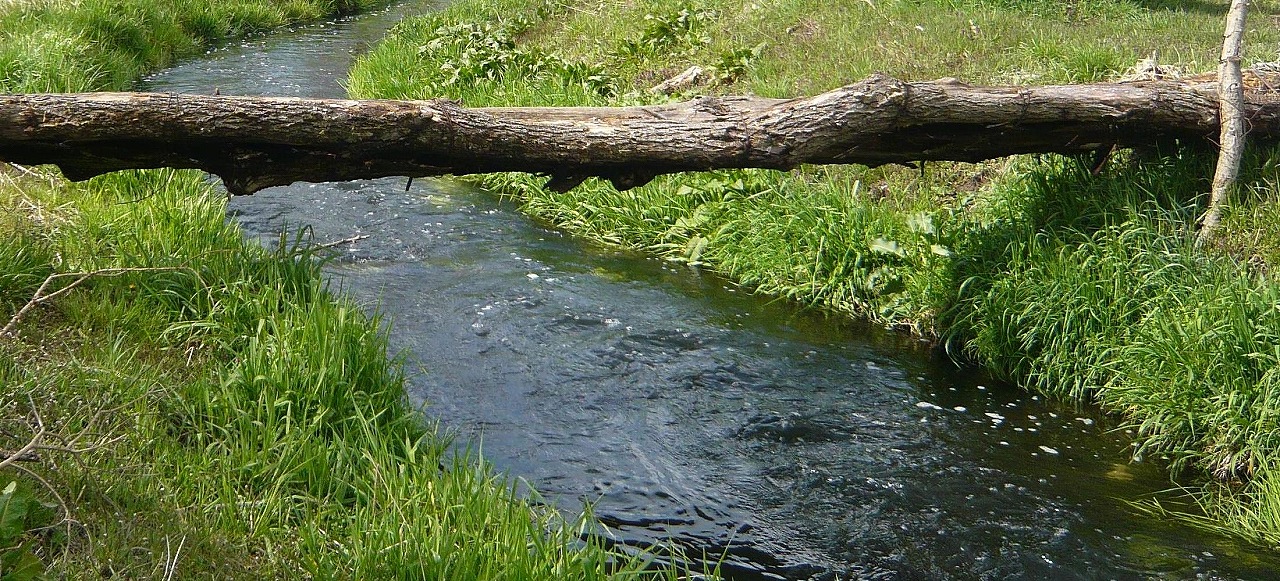 c0140260_22452411.jpg