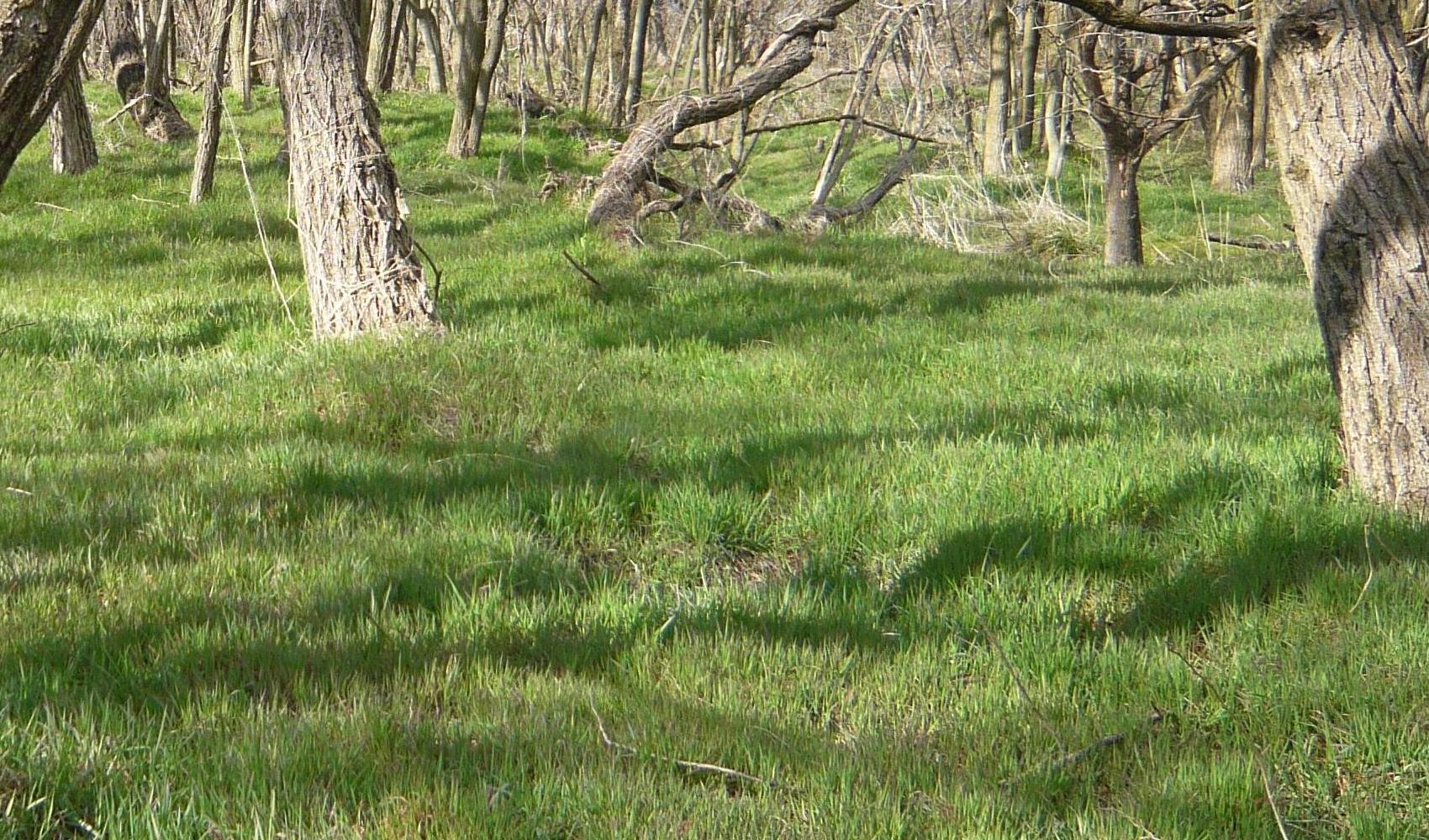 c0140260_2245784.jpg