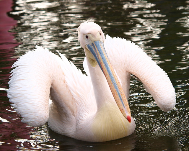 c0186760_102571.jpg