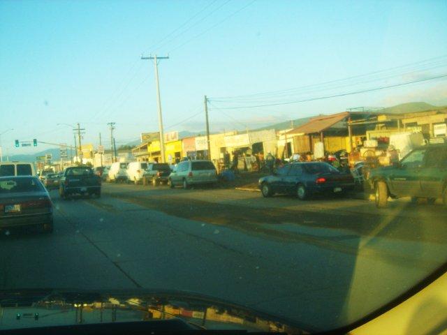 d0131460_65430.jpg
