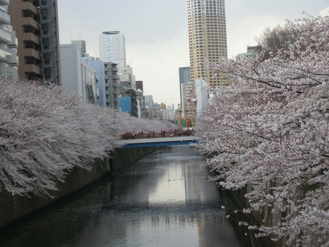 c0080861_873136.jpg