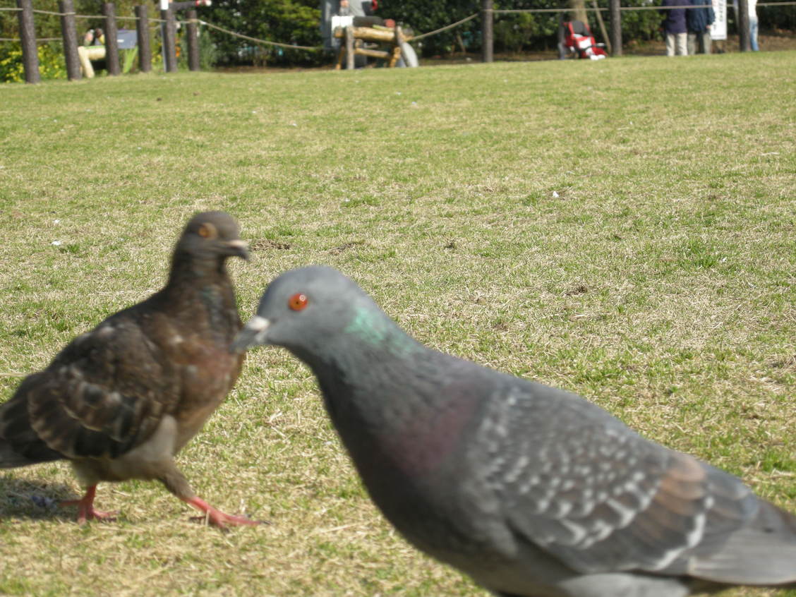 c0080861_874934.jpg