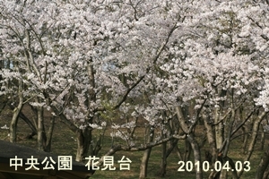 d0054461_6104429.jpg
