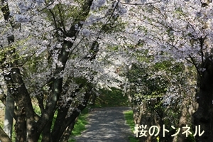 d0054461_6343194.jpg