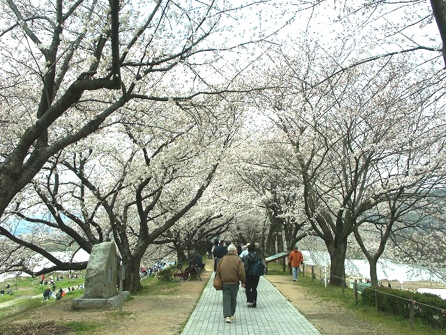 b0044663_07512.jpg