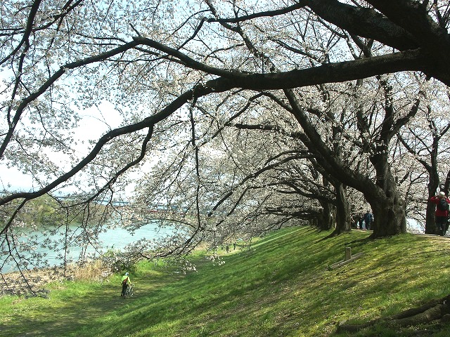 b0044663_093091.jpg