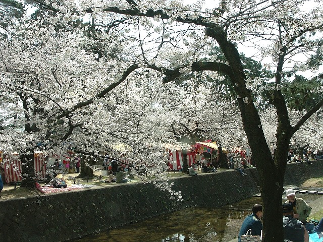b0044663_19531183.jpg