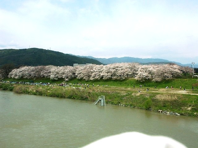 b0044663_19572992.jpg
