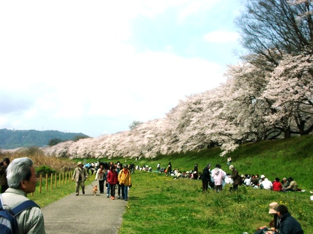 b0044663_1958253.jpg