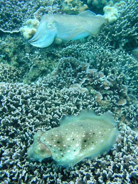 b0062363_17221330.jpg