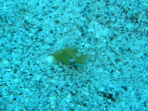 b0062363_17233387.jpg