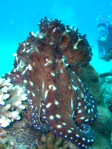 b0062363_17252848.jpg