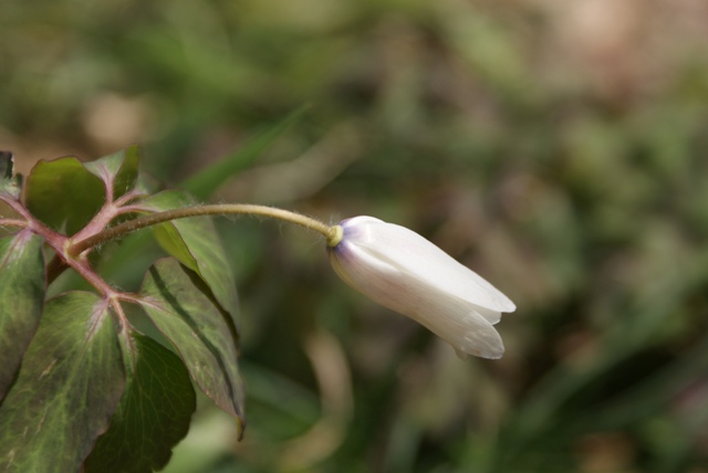 a0091666_2129960.jpg