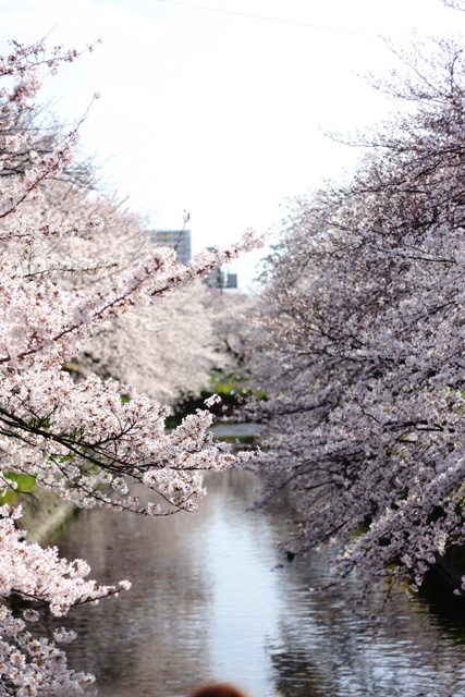 c0225766_2415988.jpg