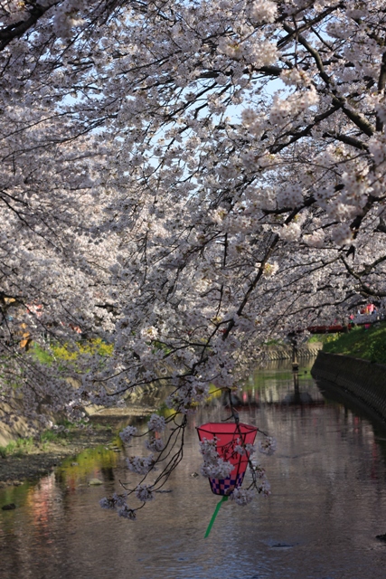 c0225766_242127.jpg