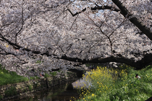 c0225766_247410.jpg