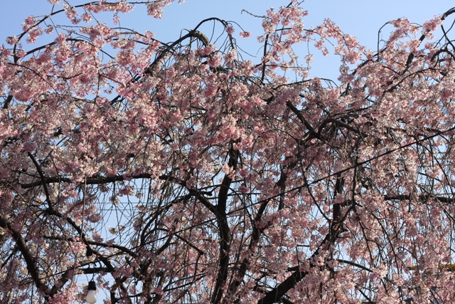 c0225766_3243442.jpg