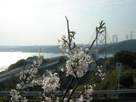 b0180968_214054100.jpg