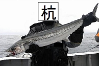a0096669_1833347.jpg
