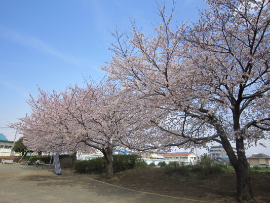 c0202870_914508.jpg