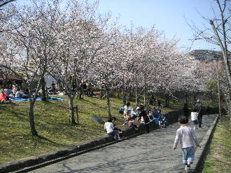 b0175571_22405162.jpg