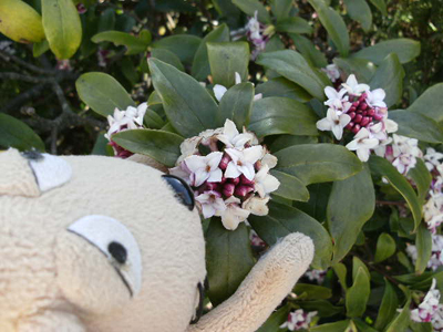 c0158573_11164922.jpg