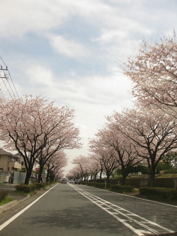 f0175875_168631.jpg