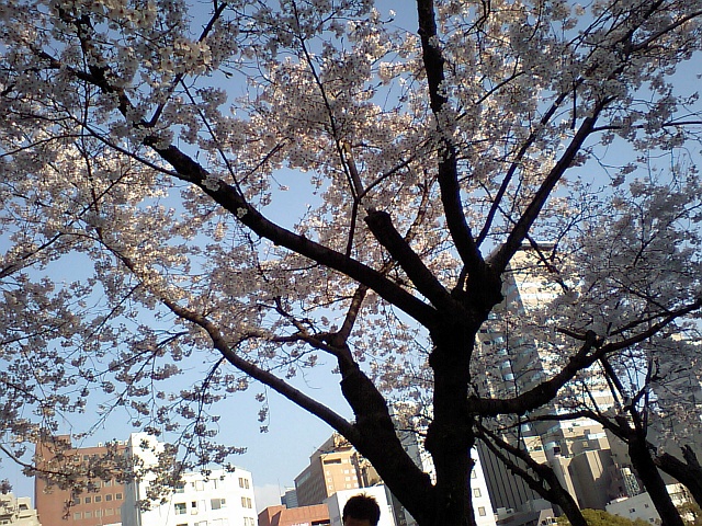 b0048879_1316499.jpg