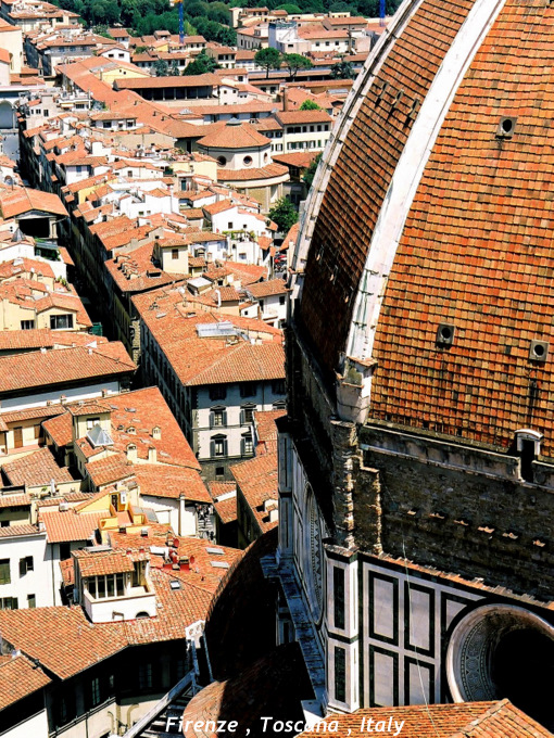 b0178479_19553327.jpg