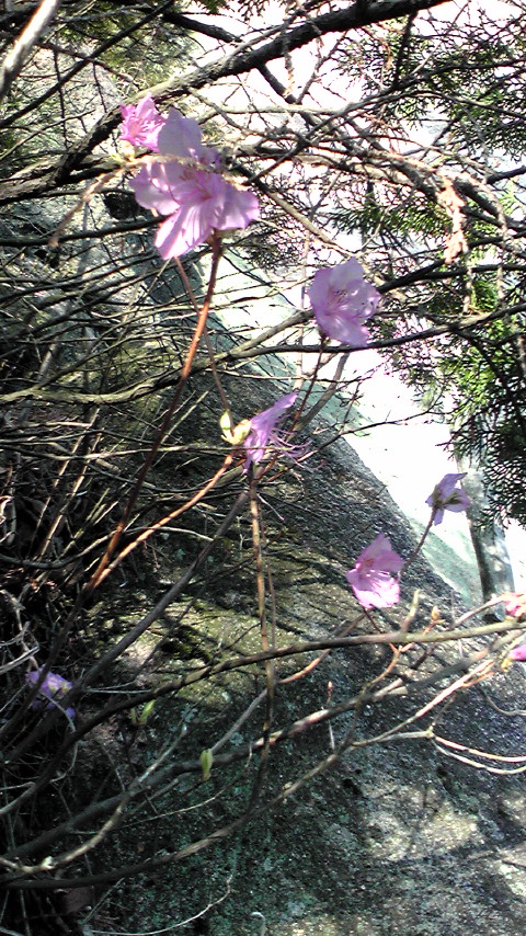 f0223480_2141711.jpg