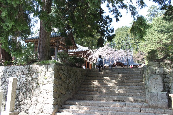 e0192781_2072029.jpg