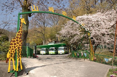 b0042882_2133883.jpg