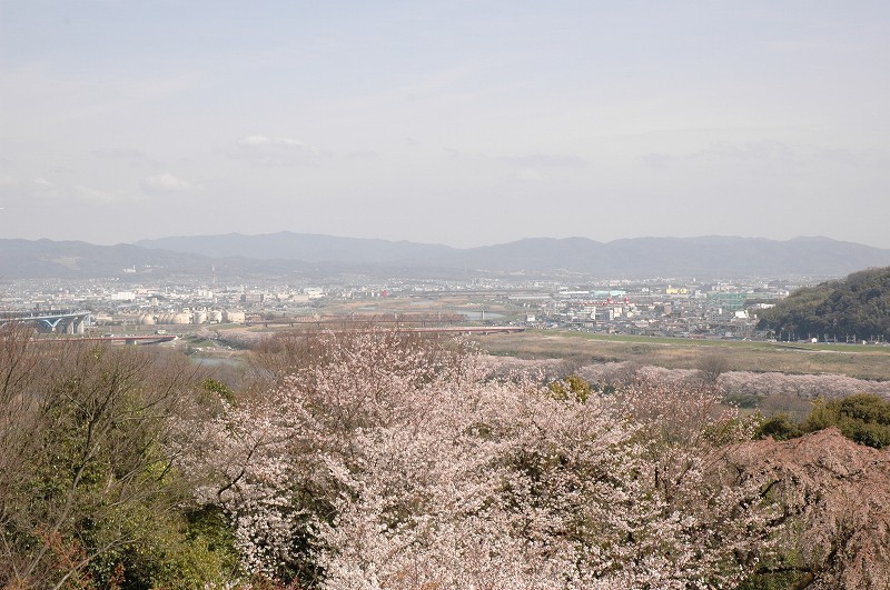 b0042882_217548.jpg