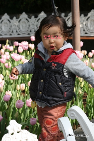 a0033083_2291984.jpg