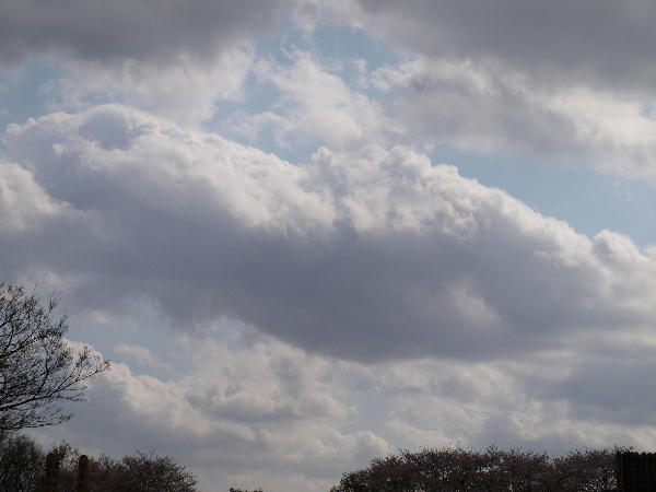 f0160583_2101248.jpg