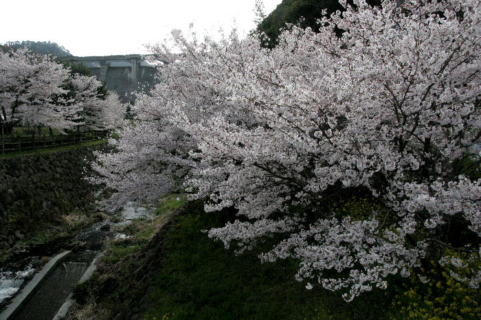 b0171185_23205563.jpg