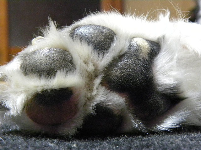 c0120585_21254126.jpg