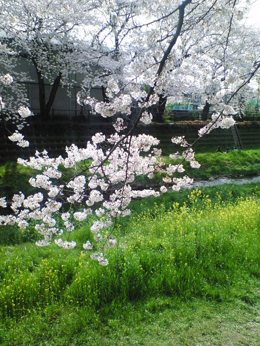 b0160186_2033173.jpg