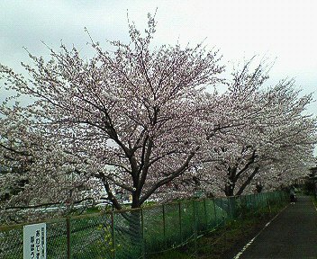 c0014187_2335650.jpg