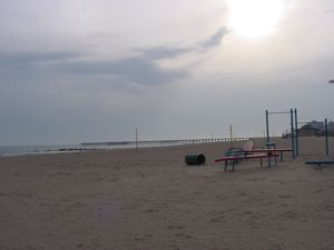 b0164690_226439.jpg
