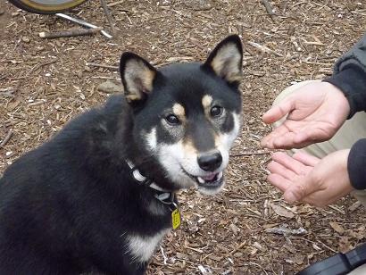 c0123890_20234429.jpg