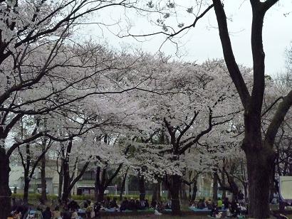 c0123890_2045999.jpg