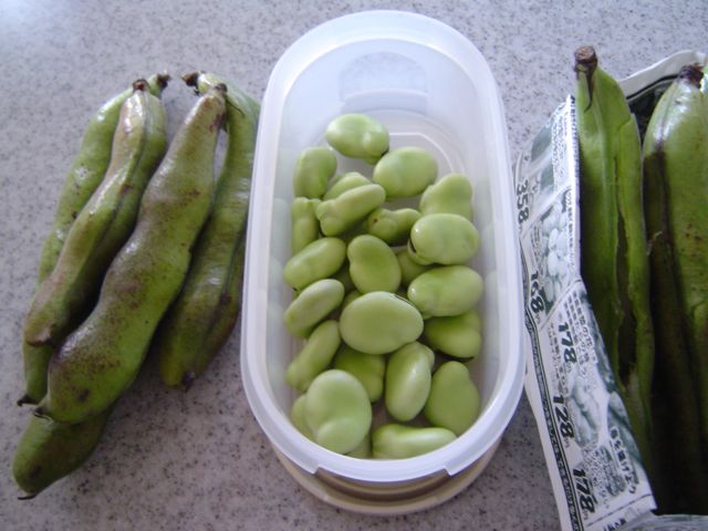 f0213292_13345827.jpg