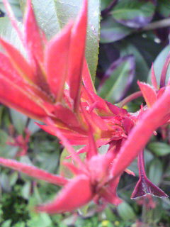 f0082794_23245878.jpg
